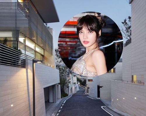 Лиса 20 тэрбум төгрөгөөр тансаг зэрэглэлийн хаус худалдан авчээ